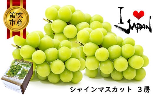 
            ＜25年発送先行予約＞厳選高級シャインマスカット1.5kg（3房） 082-012
          