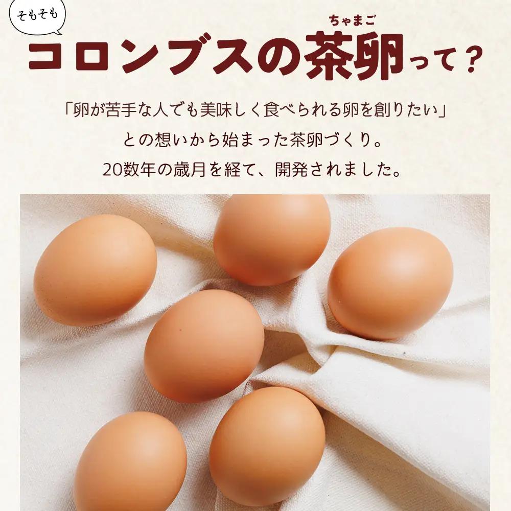 たまご コロンブスの茶卵 6個入×5P 卵が苦手な子どもも食べられた！ kl-0004