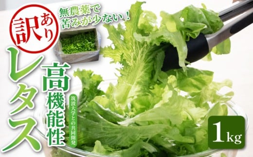 訳あり 高機能性 レタス 無農薬 1kg グリーンリーフ 産地直送 高機能性野菜 水耕栽培 新鮮 健康 弁当 フードロス ダイエット ベジタブル ヴィーガン ベジタリアン アイクス 埼玉県 羽生市
