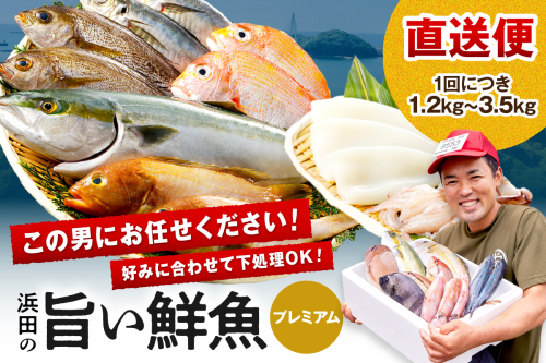 浜田のプレミアム鮮魚～この男シリーズ～ 海鮮 鮮魚 詰め合わせ セット おまかせ 人気 お取り寄せ 【006_2045】