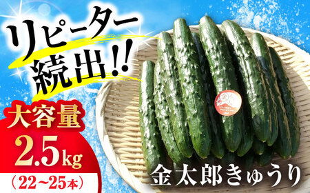 【先行予約】 きゅうり 2.5kg [AQDD001] きゅうり 野菜