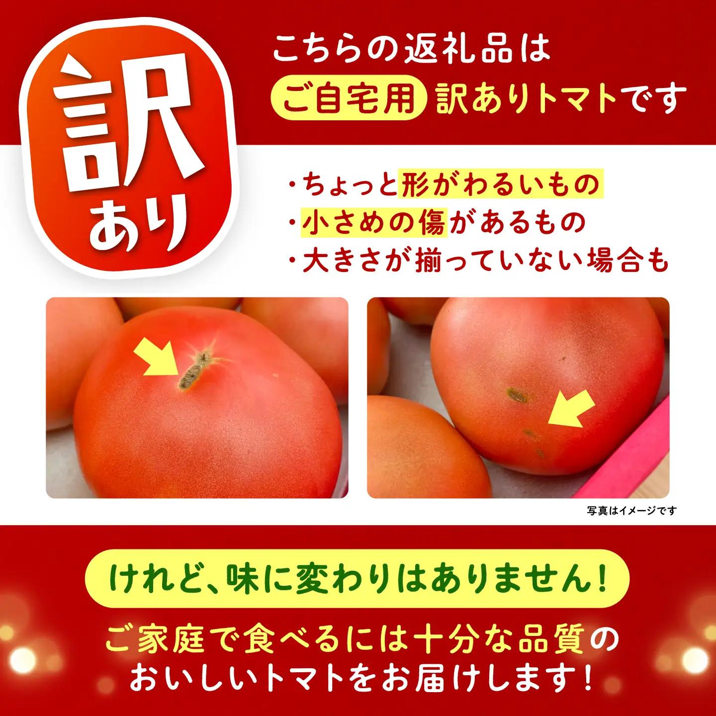 【2週間以内に発送！】 訳あり大玉トマト 4kg / 恵那市 / クリエイティブファーマーズ [AUAH016]