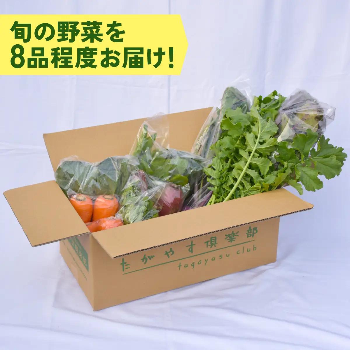 ≪5か月定期便≫有機農業の第一人者 たがやす倶楽部 齊藤 完一さんの「季節の野菜セット」 SMCL005