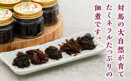 【全2回定期便】佃煮詰合せ《対馬市》【うえはら株式会社】対馬 ご飯のお供 岩のり わかめ ひじき 椎茸[WAI102]