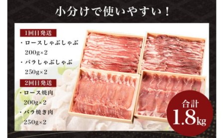 サンゴク豚（分割配送セット） 合計1.8kg（900g×2回）定期便  しゃぶしゃぶ 焼き肉  豚肉 豚バラ肉 ロース 小分け 真空パック  しゃぶしゃぶ肉 焼肉用 ブタ肉 国産 茨城県産 ギフトプレ