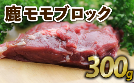 鹿もも肉ブロック300g ジビエ 鹿肉ジビエ 美味しいジビエ ローストに合うジビエ ヘルシーなジビエ アウトドアにおすすめジビエ ブロックジビエ
