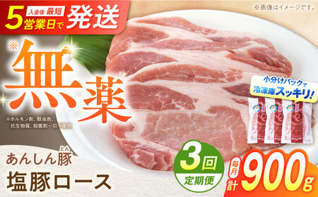 【3回定期便】《金賞受賞》 塩豚ロース 900g 豚肉 白川町 / 藤井ファーム[AWAF054]