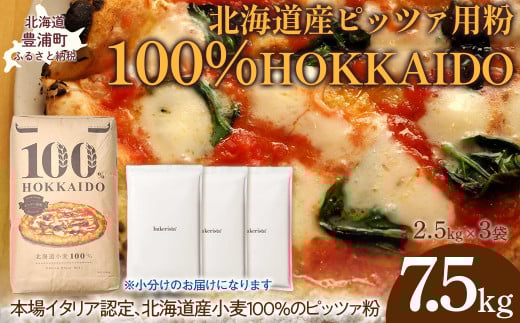 100% HOKKAIDO ピッツァ用粉 7.5kg 【 ふるさと納税 人気 おすすめ ランキング 小麦粉 パン ピザ ピッツァ 国産 北海道 HOKKAIDO 自宅用 江別製粉 北海道 豊浦町 送料無料 】 TYUAI024