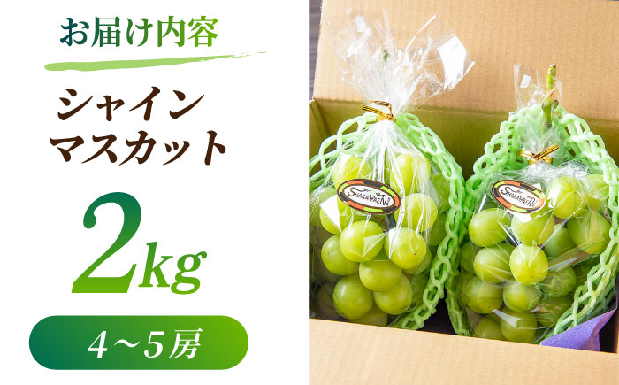 【先行予約】【数量限定】シャインマスカット 2kg(5～6房)【合同会社 社方園】 [ZBZ013]