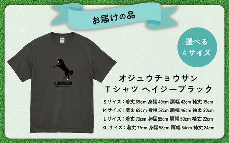 【オジュウチョウサン】Ｔシャツ _XLサイズ（ヘイジーブラック） BRTV004-4