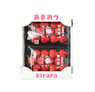 あまおう 約1140g 約285g×4パック いちごファームきらら【ふくおかエコ農産物認証】【2025年2月下旬-3月下旬発送予定】