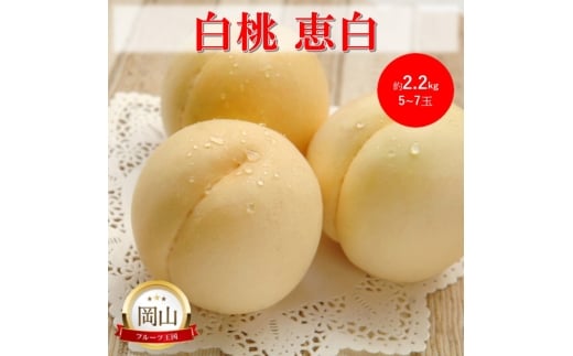 [№5615-0758]岡山県産 白桃 恵白 (約2.2kg) 5～7玉 桃 もも 果物 フルーツ