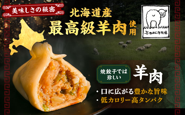 羊の焼き餃子（25個入り）《足寄町》【石田めん羊牧場】　中華 餃子 ぎょうざ ギョウザ 点心 惣菜 おかず 弁当 羊肉 お肉 手づくり ジューシー 冷凍 簡単調理 名店 味坊 足寄 北海道 北海道産 