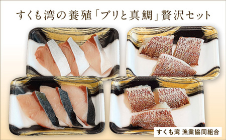 ブリと真鯛 贅沢セット ブリ