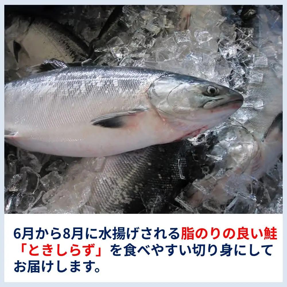  ときしらず（鮭）の切り身セット（7切れ前後）｜鮭　羅臼産