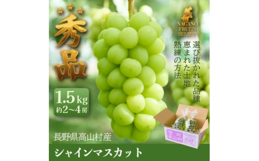 2026年10月上旬から発送予定!長野高山村産 シャインマスカット1.5kg【1770501】