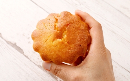 大きい！マドレーヌ（プレーン・チョコチップ） 8個 お菓子 菓子 デザート スイーツ マドレーヌ ビッグ BIG プレーン チョコチップ