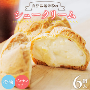 自然栽培 米粉のシュークリーム プレーン6個セット 〔Dw081〕