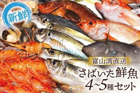 鮮魚セット 富山湾直送 さばいた鮮魚 刺身 鮮魚セット【4〜5種】【冷蔵】