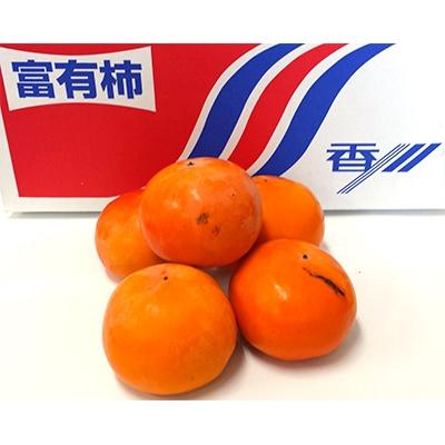 ふるさと納税 高松市 ご家庭用　富有柿　約9.5kg