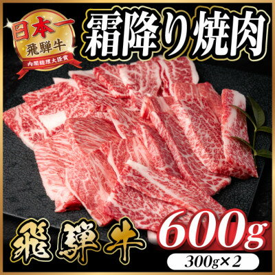 【ふるさと納税】飛騨牛 霜降り焼肉 約600g(約300g×2) BBQ用(上カルビ、肩ロース、カイノミなど)訳あり【配送不可地域：離島】【1733136】