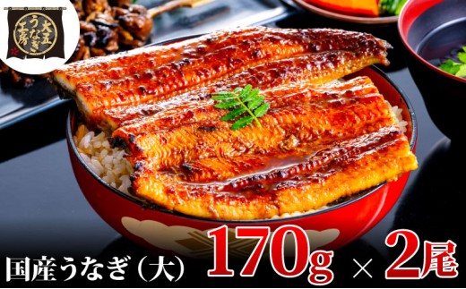 
                  うなぎ 蒲焼 2尾 計340g 国産 大五うなぎ工房 冷凍
                