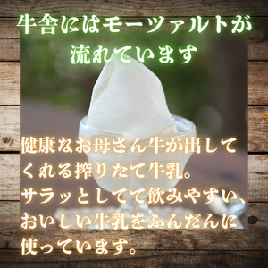 しぼりたて生乳で作った濃厚ミルクジェラート 6個セット ジェラート シャーべット アイスクリーム アイス 生乳 ミルク ジェラート クリーミー デザート 氷菓子 スイーツ 濃厚 冷凍 佐賀県 太良町 