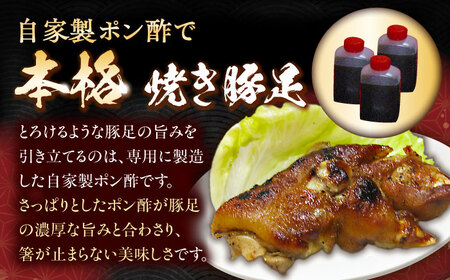 【職人仕込みの炭火焼き】プルプル食感！自家製ポン酢で味わう本格焼豚足[QCC001]