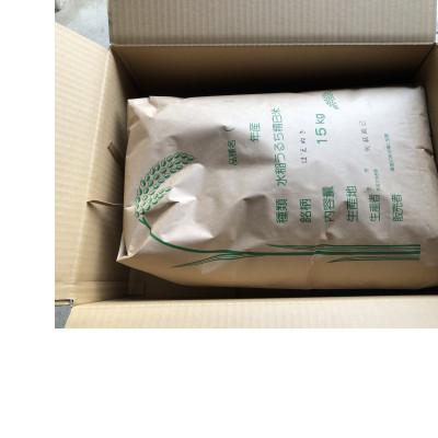 ふるさと納税 村山市 精米はえぬき 一等米　15kg(15kg×1) |  | 01