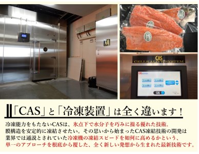 CAS凍結　オリーブサーモン　１尾【B-24】