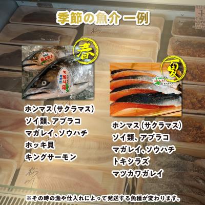 ふるさと納税 新ひだか町 <定期便12回>北海道産 旬のお魚 4〜5種 お楽しみ定期便 |  | 02