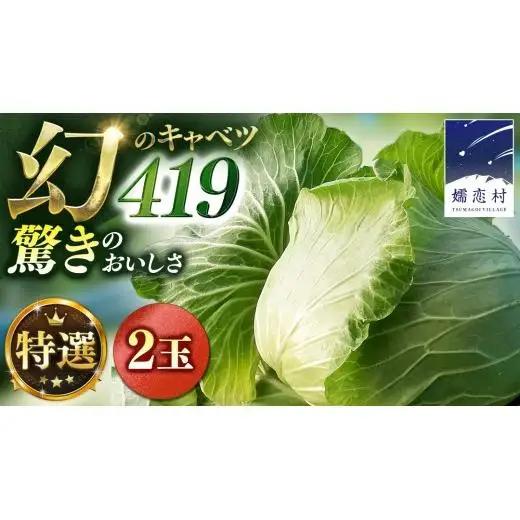 ＜レビューキャンペーン開催中＞＜7月中旬発送開始＞ 【 特選 】 まぼろしの419キャベツ 2玉 [AL020tu]