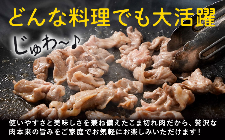 【3ヶ月定期便】熊本県産 豚肉 モモスライス ウデ こま切れ セット 合計 約9kg 約3kg×3回 植田商事有限会社 《お申し込み月の翌月から出荷開始》 熊本県 菊池市 モモ ウデ 詰め合わせ 豚 