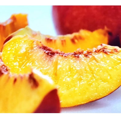 【お中元に贈る方続出】邪気を払う神聖な果物比類なき絶対糖度シャトーネクタリン2025年7月上旬発送【配送不可地域：離島・北海道・沖縄県・中国・四国・九州】