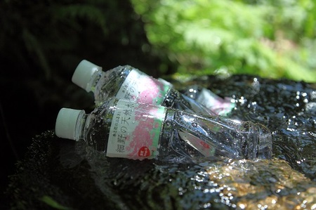 【定期便・霧島連山天然水 12か月コース】ミネラルたっぷり天然中硬水 細野の天然水 555ml×24本×12回（国産 ナチュラルウォーター ミネラルウォーター 天然水 水 中硬水 シリカ 美容 人気 