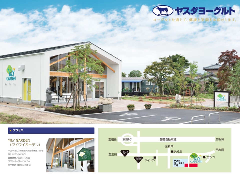 【5ヶ月定期便】ヤスダヨーグルト 大ボトル 800g×10本 1B90071