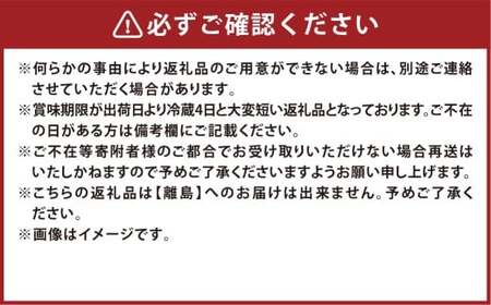 岡山白桃（品種：白鳳／加納岩白桃）5~7玉 合計1.5kg以上 もも 桃 モモ 白桃 フルーツ 果物 果実 化粧箱 贈答品 贈り物 岡山県 倉敷市【2026年7月上旬～7月下旬まで順次発送予定】