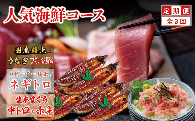 
                  【定期便3回】大満足6人前！ 人気海鮮 定期便3回コース
                