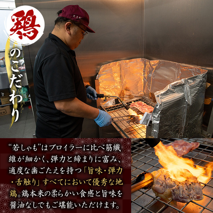 ＜定期便・全3回＞地鶏たたき カット済バラエティセット(5種)(600g×3回・総量1.8kg) 国産 鹿児島県産 鶏肉 鳥肉 地鶏 地どり 鳥刺し 鶏刺し たたき もも肉 モモ肉 むね肉 ムネ肉 さ