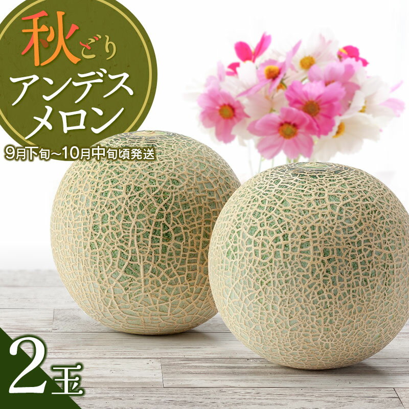 【ふるさと納税】【令和7年産先行予約】 鶴岡産 秋どりアンデスメロン【2玉（3Lサイズ）】 小林ファーム | 山形県 鶴岡市 庄内 砂丘 返礼品 フルーツ 果物 くだもの お取り寄せグルメ めろん 西瓜 特産品 2025年産