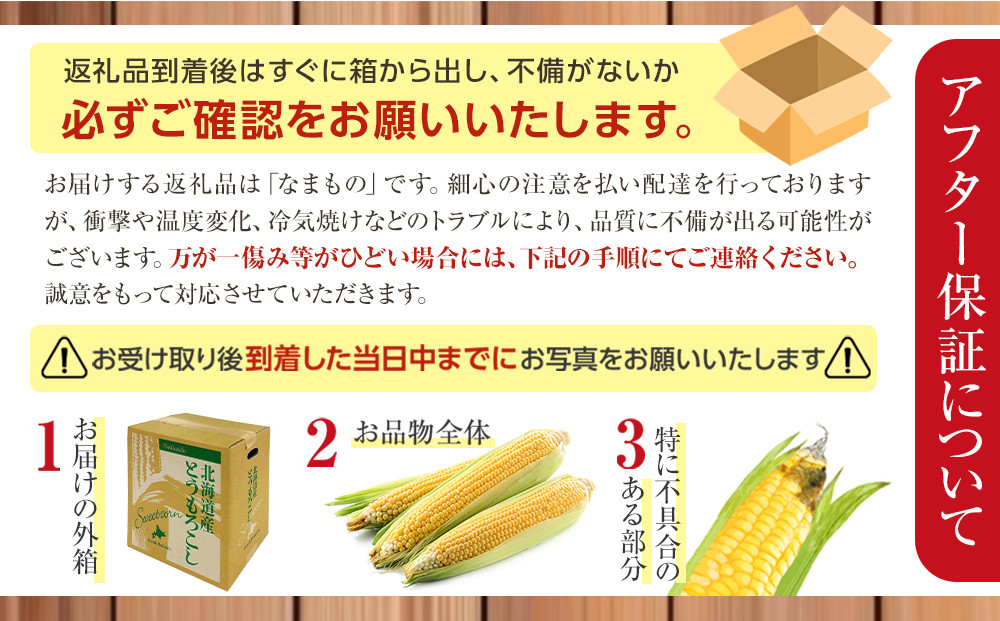 【26年先行予約】朝採り とうもろこし ゴールドラッシュ 約4kg (L～2Lサイズ×10本) (2026年8月中旬発送予定) 【 人気 北海道産 糖度 生 野菜 スイートコーン 産地直送 バーベキュ