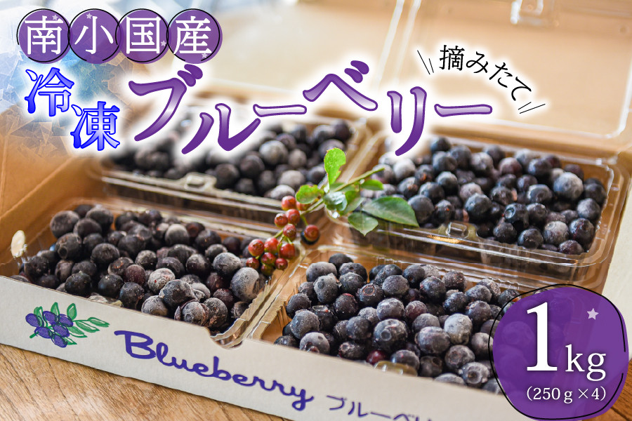 
農薬・化学肥料不使用 摘み立て冷凍ブルーベリー１kg 南小国産 冷凍 ブルーベリー 1kg 摘み立て 生 果物 新鮮 フレッシュ 小分け 農薬不使用 化学肥料不使用 産地直送 熊本 阿蘇 南小国町 送料無料
