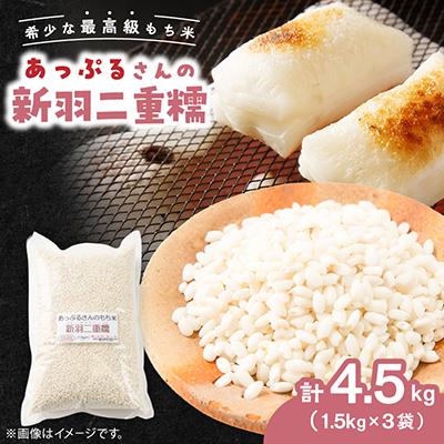 ふるさと納税 与謝野町 【京都府固有種・希少もち米】 新羽二重糯1.5kg×3袋　冷めてもやわらかい最高級のもち米　農家直送