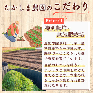 旬の野菜セット 5品目 特別栽培 採れたて 野菜