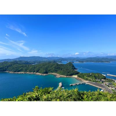 ふるさと納税 佐世保市 レンジでうまか〜高島の地魚姿煮つけ |  | 03