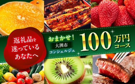 【コンシェルジュ】返礼品おまかせ！寄附額100万円コース[AGXX028]