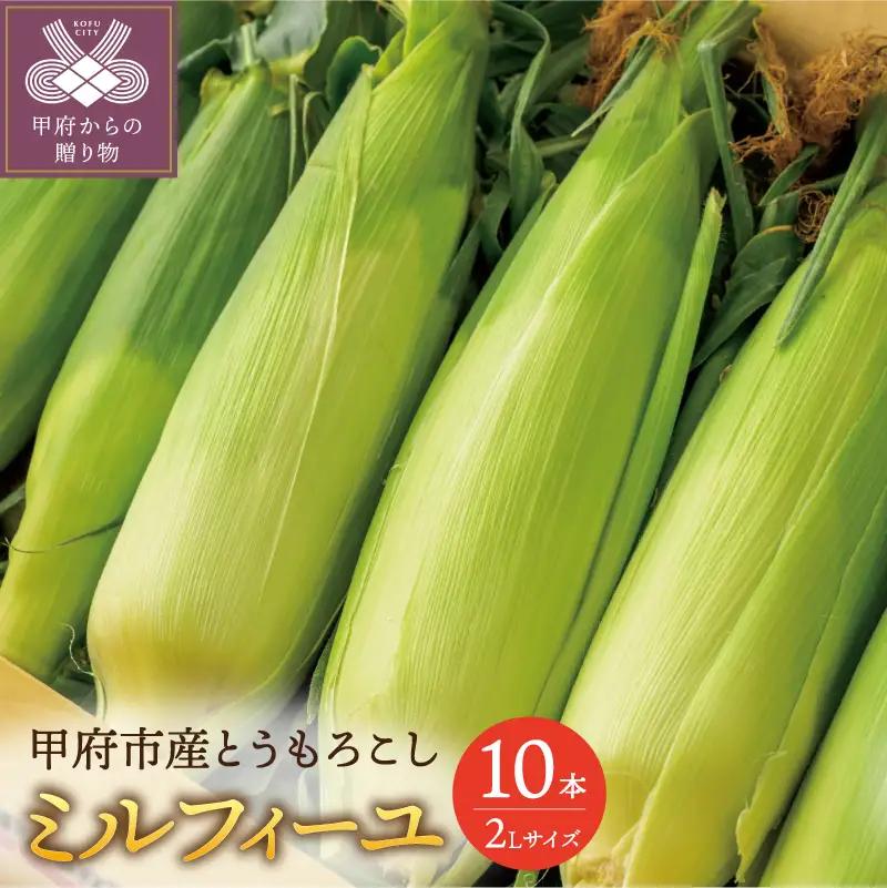 〈2026年度発送分〉甲府市産もろこし（品種：ミルフィーユ）２Lサイズ　10本入