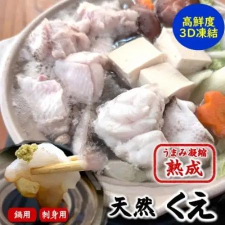 幻の高級魚 天然本クエ鍋用 500g(2-3人前)+お刺身 熟成 旨味凝縮 高鮮度3D凍結 大型使用【配送不可地域：離島】【1780006】
