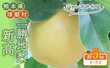 《先行予約》熊本県 球磨村 一勝地梨（新高／約5kg） ナシ なし 梨 和梨 和なし 和ナシ ブランド梨 FKP9-653