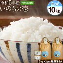 【ふるさと納税】令和5年産 特別栽培米 いのちの壱(白米) 10kg(5kg×2袋) 雑穀米付き《90日以内に出荷予定(土日祝を除く)》 熊本県 南阿蘇村 熊本県産 虹色のかば 白米 雑穀米